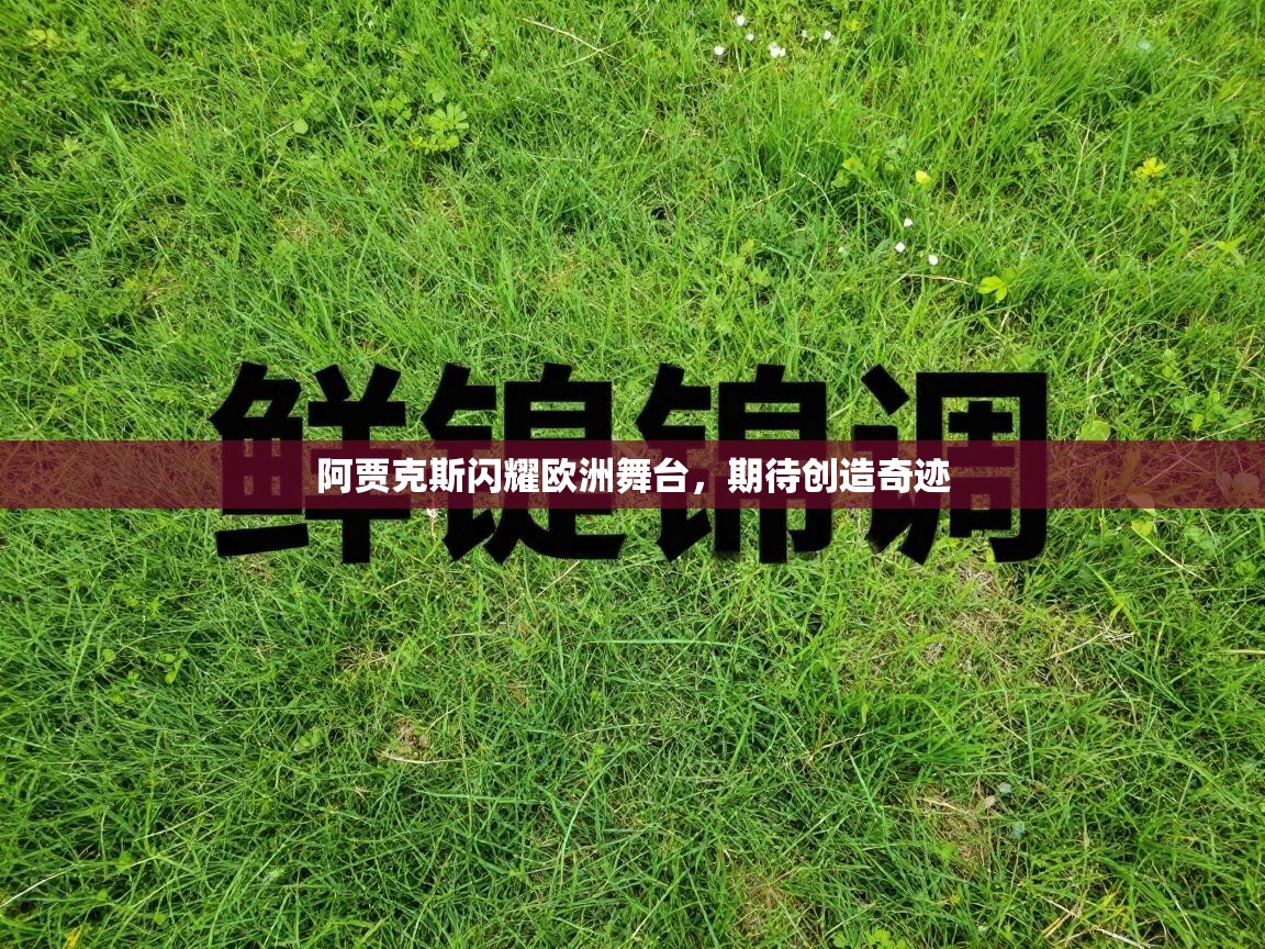 阿贾克斯闪耀欧洲舞台，期待创造奇迹  第2张